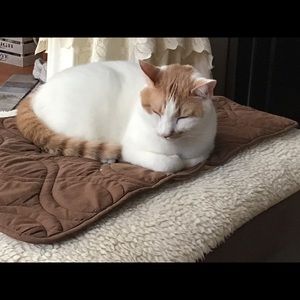 Meet your Posher, Patricia